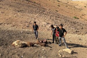 Palestinian child shot dead in West Bank by Israeli forces amid land grabs